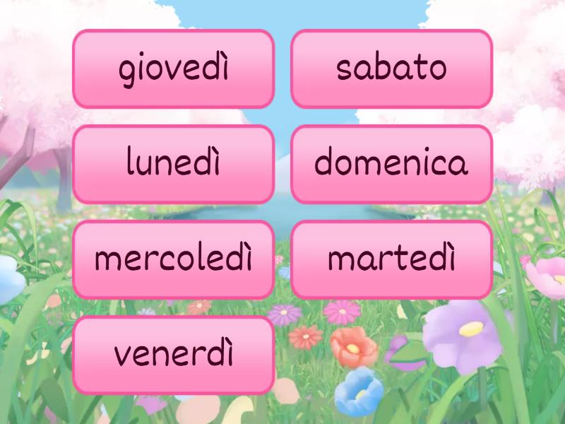 days-of-the-week-cards-fichas-giratorias