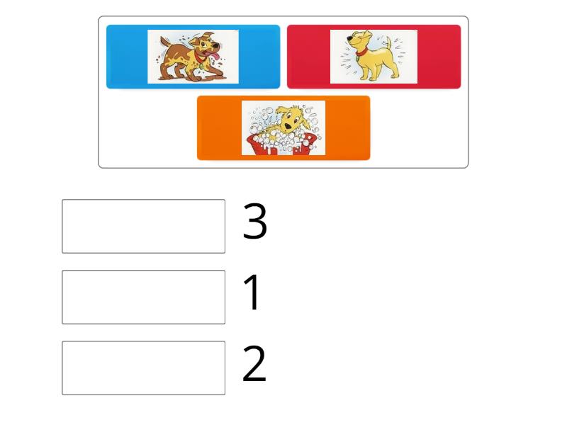 Arrange in the correct order. - Match up