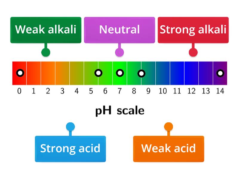 pH scale KS3 - Labelled diagram