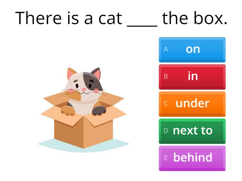 prepositions-of-place-the-cat-the-box-quiz