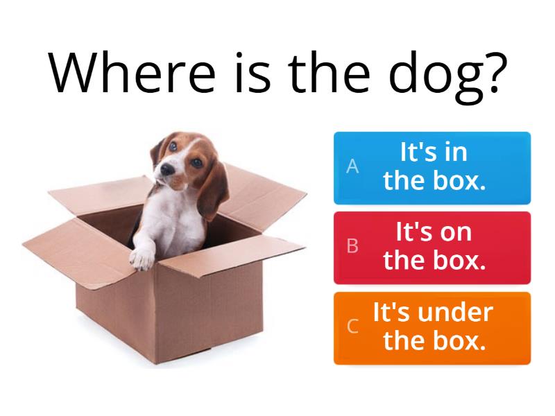 Prepositions in, on, under - Quiz