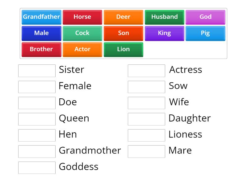 Masculine and Gender Nouns - Match up