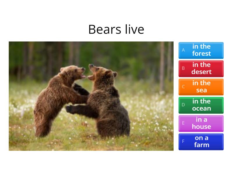 D1 Encyclopedia Animals' habitat hum - Quiz