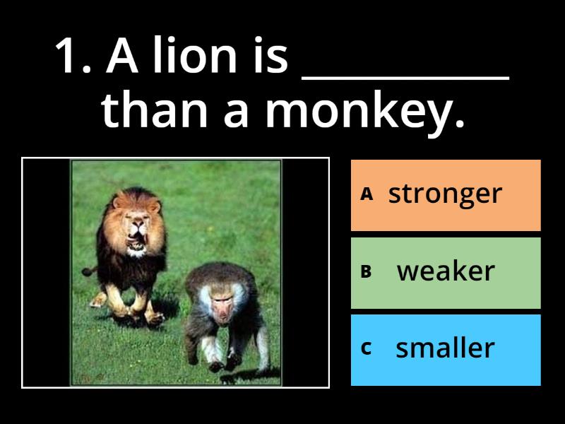 comparisons-quiz
