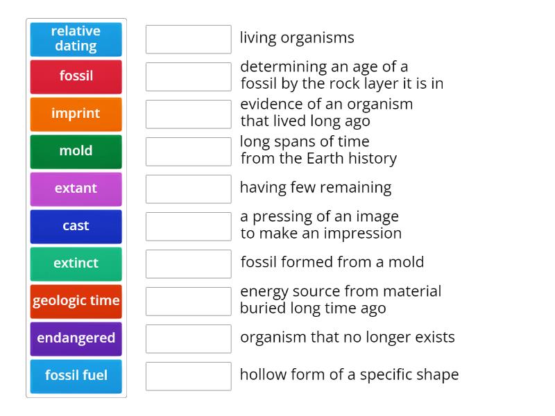 Fossil Facts - Match up