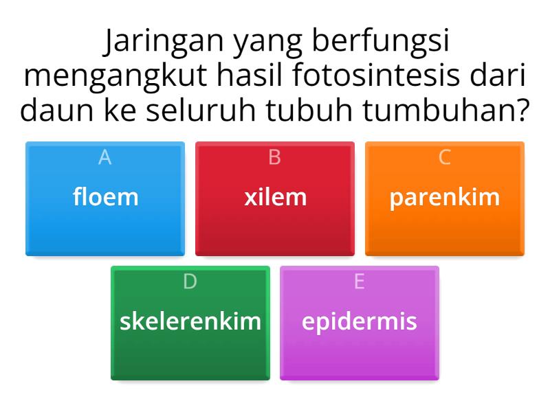 JARINGAN PENYOKONG & JARINGAN PENGANGKUT - Quiz