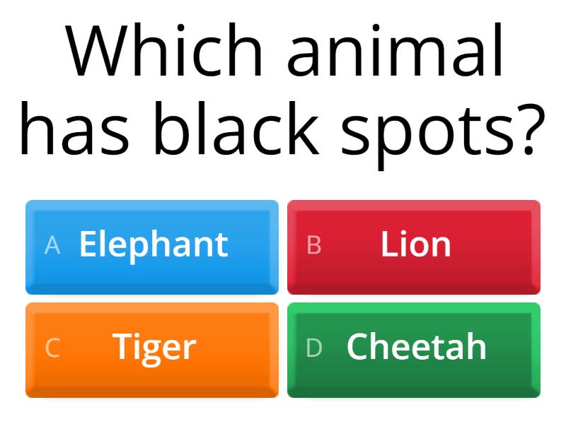 Animal Questions - Cuestionario