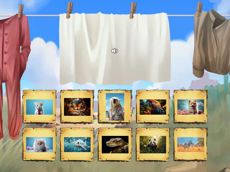 New Words - Find the match