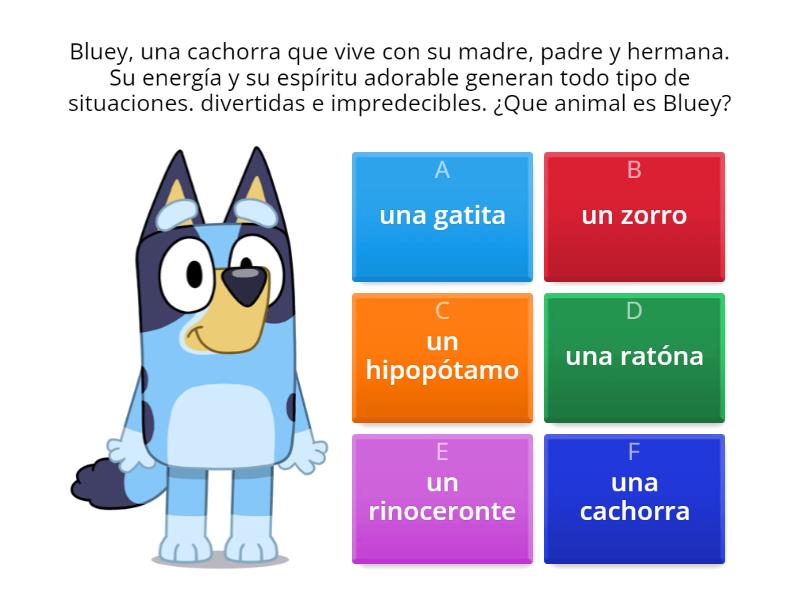 Como Es Bluey - Quiz