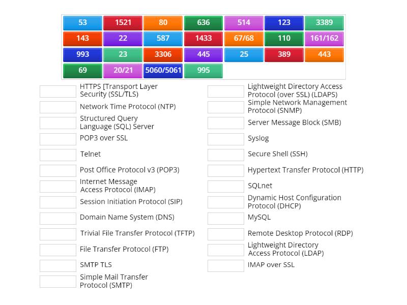 Network+ 008 Ports (full) - Match up