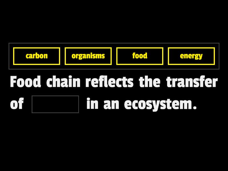 energy-transfer-along-the-food-chain-complete-the-sentence