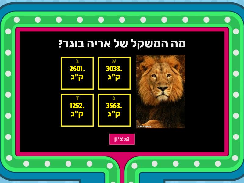 עומר כהן חידון אריות - Concurso de preguntas