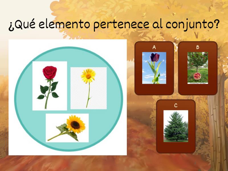 Pertenencia No Pertenencia Test