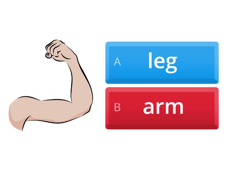 Body parts Beehive 1 - Quiz