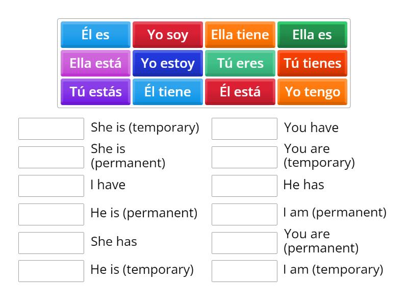 Singular persona conjugation for verbs to be and to have - Match up