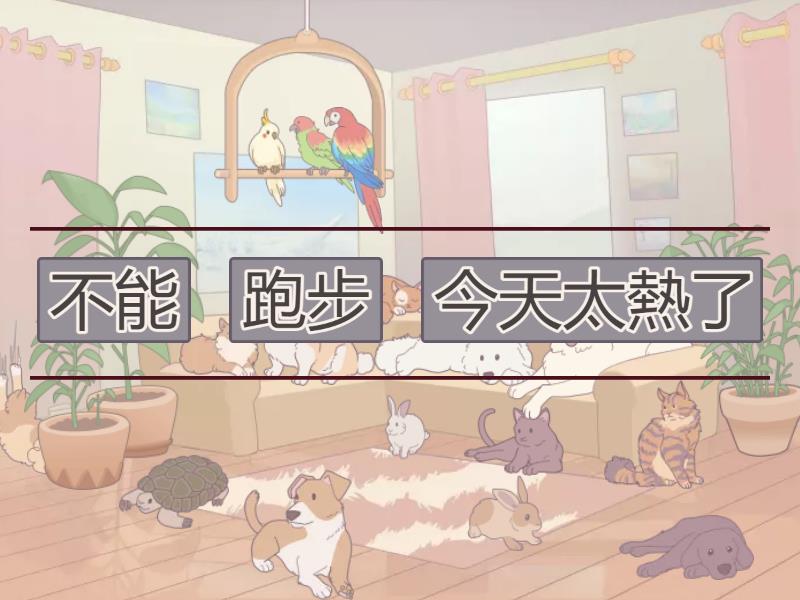 能/不能 - Unjumble