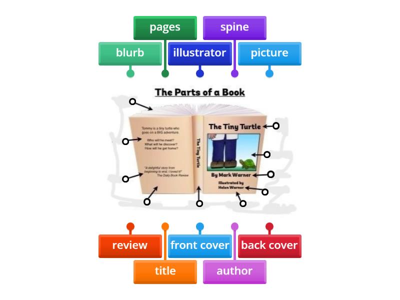 parts of the book cover meaning