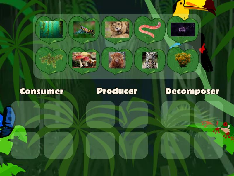 Roles in an ecosystem - Group sort