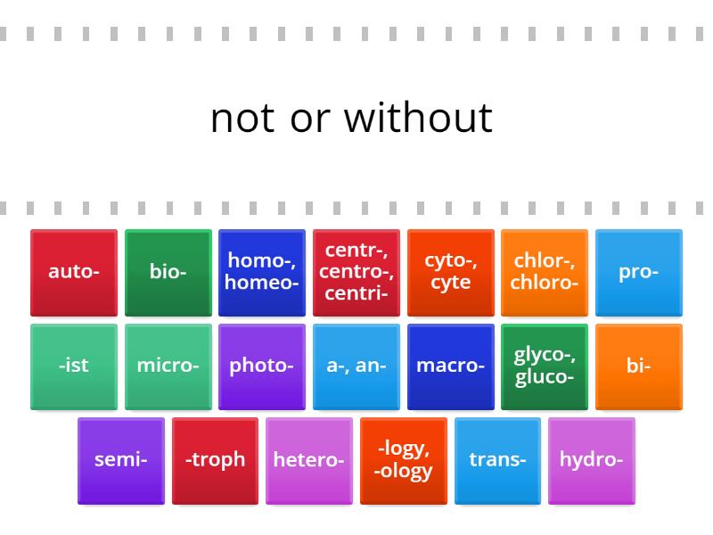 Biology Root Words and Affixes - Find the match