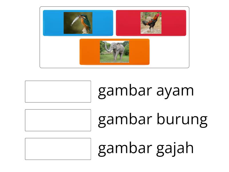 mencocokkan gambar hewan - Match up