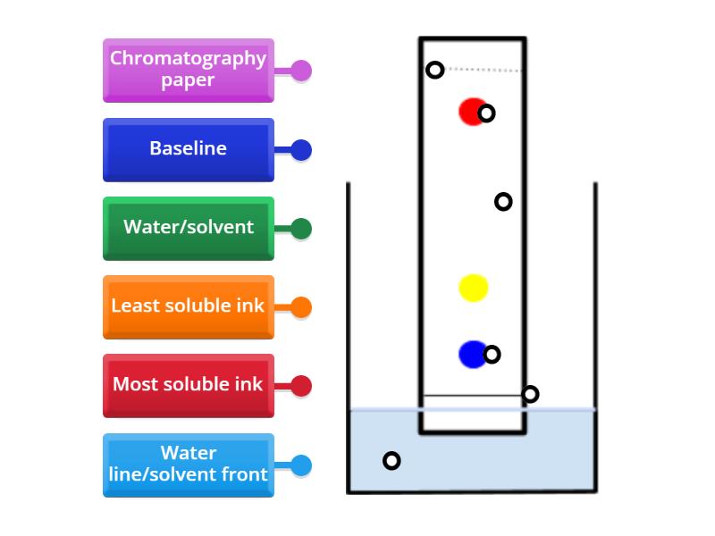 Ks3 Paper Chromatography Labelled Diagram 8352