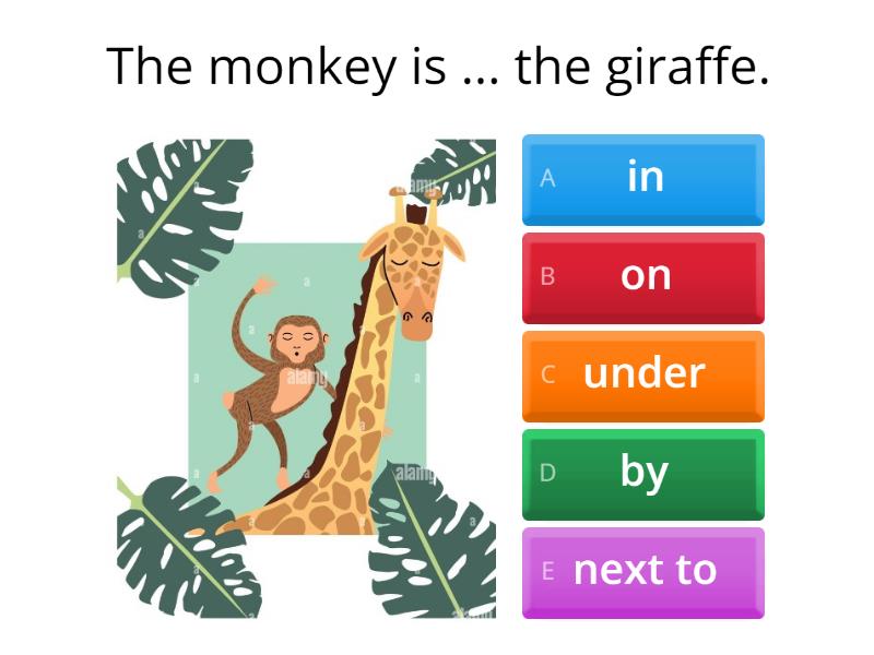 animals-preposition - Quiz