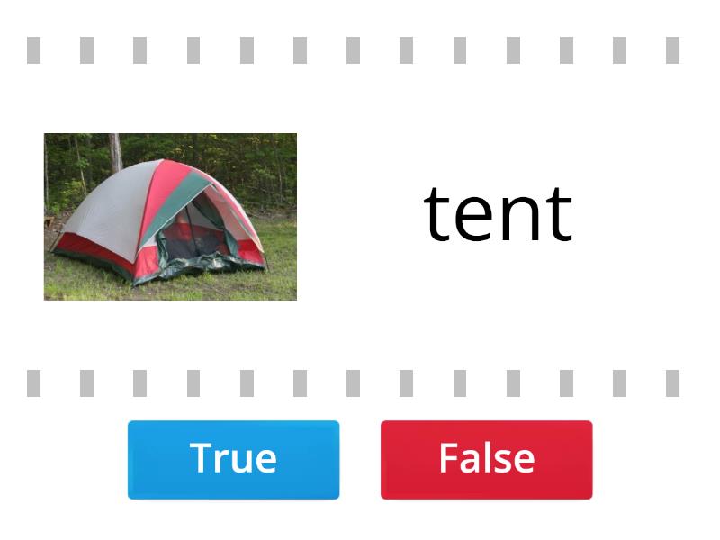 Camping Vocabulary. True camp