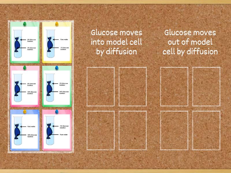 Diffusion of Glucose Diagrams - Group sort