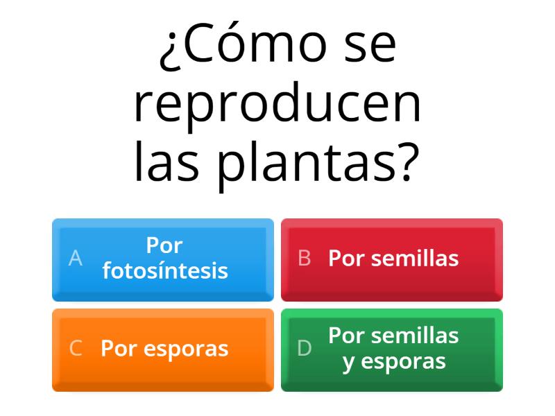 ¿Cómo se reproducen las plantas? - Quiz