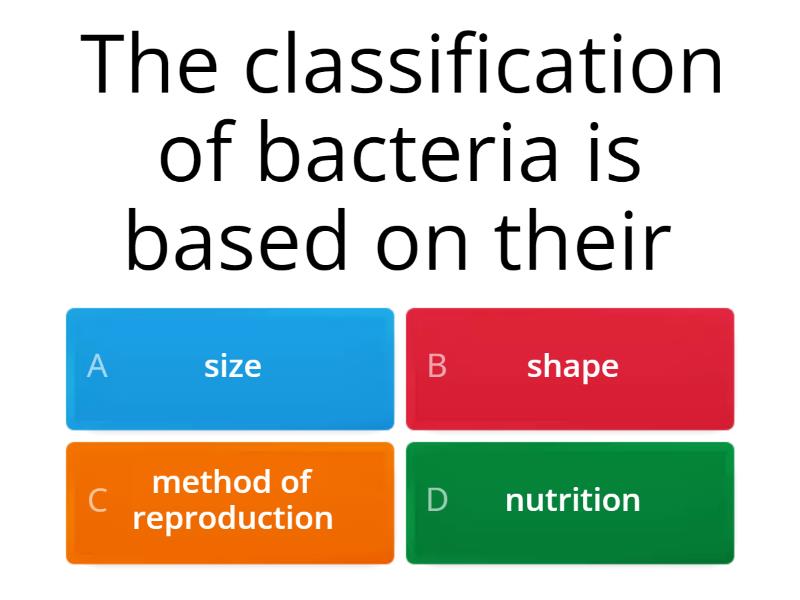 Bacteria quiz