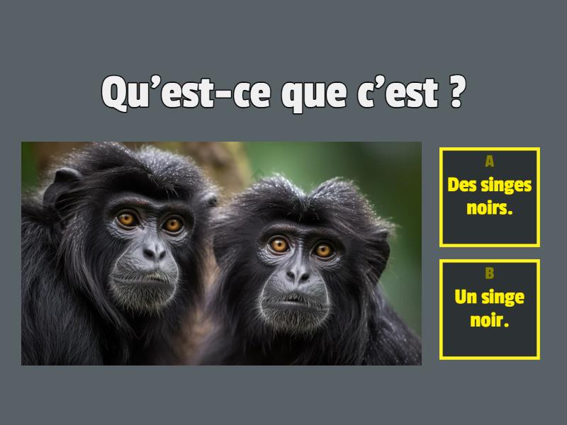 Le pluriel et le singulier Quiz