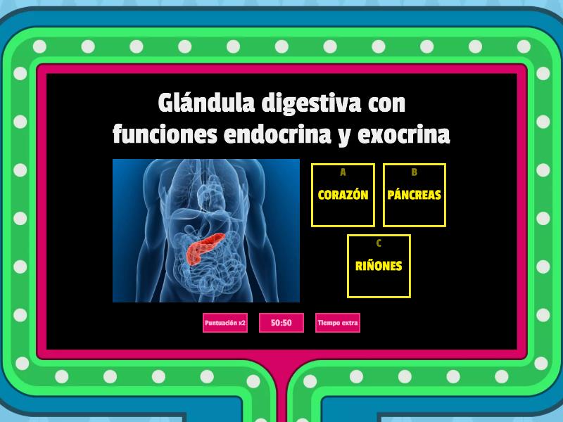 GENERALIDADES DEL SISTEMA CARDIOVASCULAR (EN16720) - Gameshow Quiz