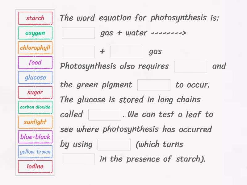 Photosynthesis and Starch Testing - Missing word