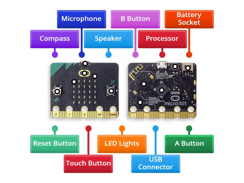 Lable the MicroBit - Labelled diagram