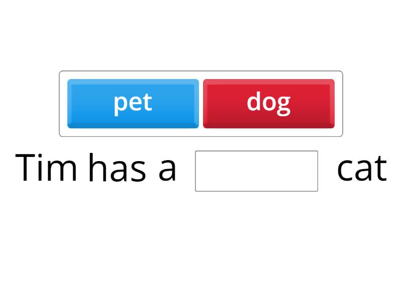 rewrite this sentence in negative form she has a pet cat
