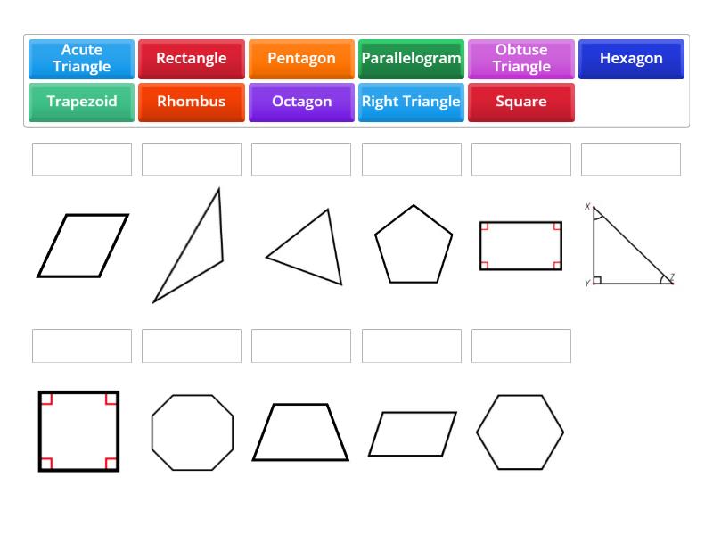 Polygons Practice - Match up