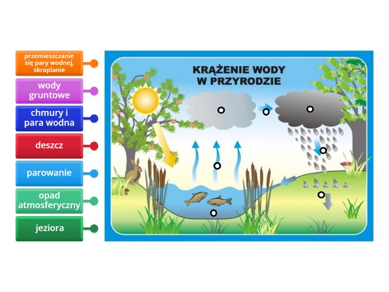 Obieg Węgla W Przyrodzie Schemat Obieg wody w przyrodzie - Labelled diagram