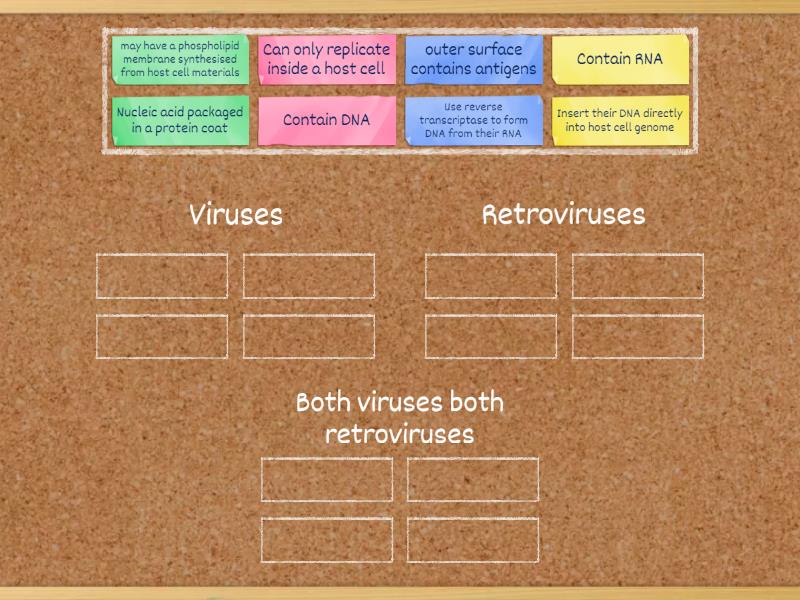 Braes Ah Biology Unit 2 5 B Viruses Vs Retroviruses Group Sort