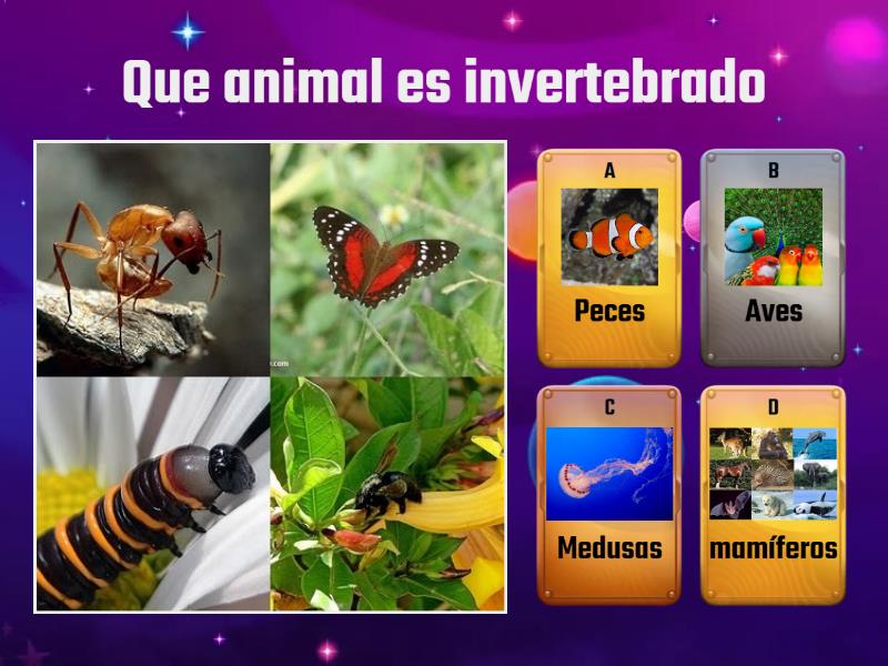 ANIMALES INVERTEBRADOS - Quiz