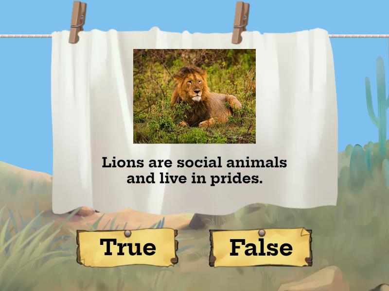 Wild Animals Facts - True Or False