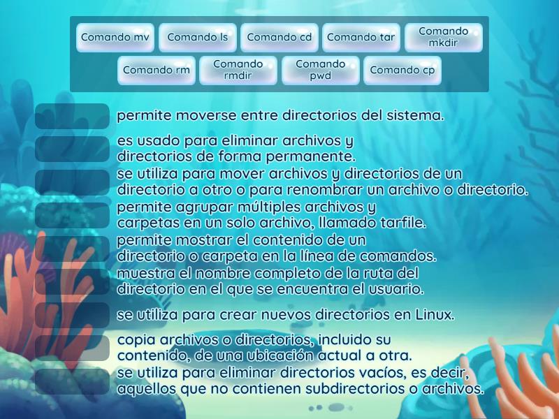 Comandos Linux - Match up