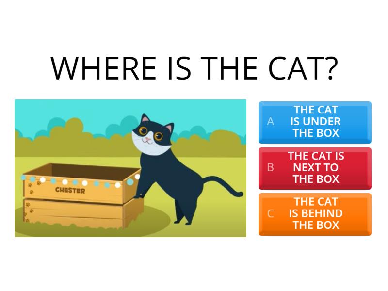 WHERE IS THE CAT? - Quiz