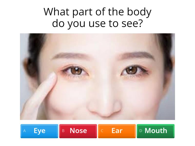 Menguasai Bahasa Inggris Sejak Dini: Panduan Lengkap Soal Bahasa Inggris Kelas 3 SD