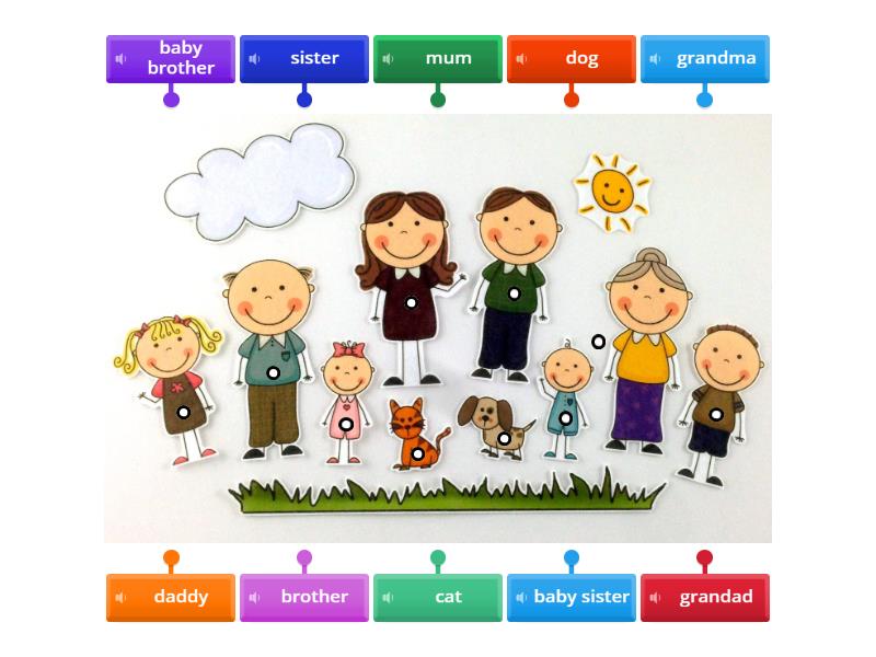 Exam Family - Labelled diagram
