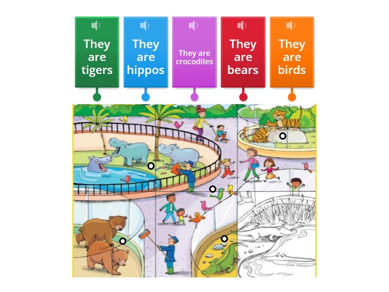 Family and friends starter - animals - Labelled diagram