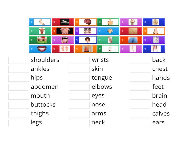 Parts of the body - Match up