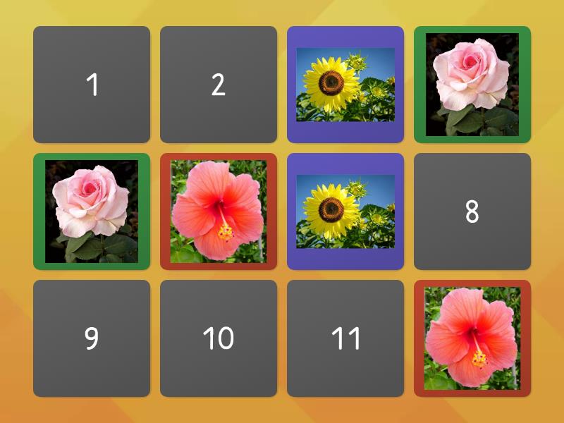 Flowers Memory Matching Game - Matching pairs