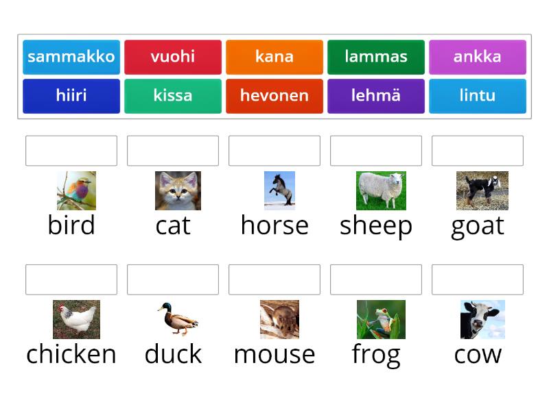 maatilan eläimiä - Match up