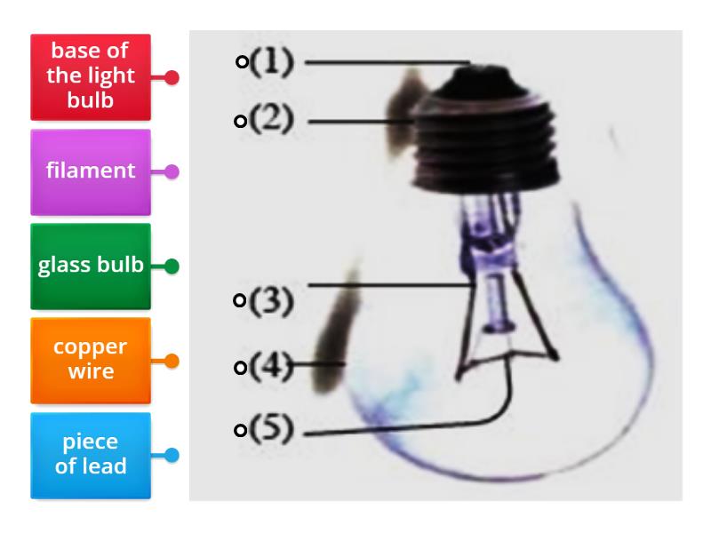 what is the wire inside of a light bulb called