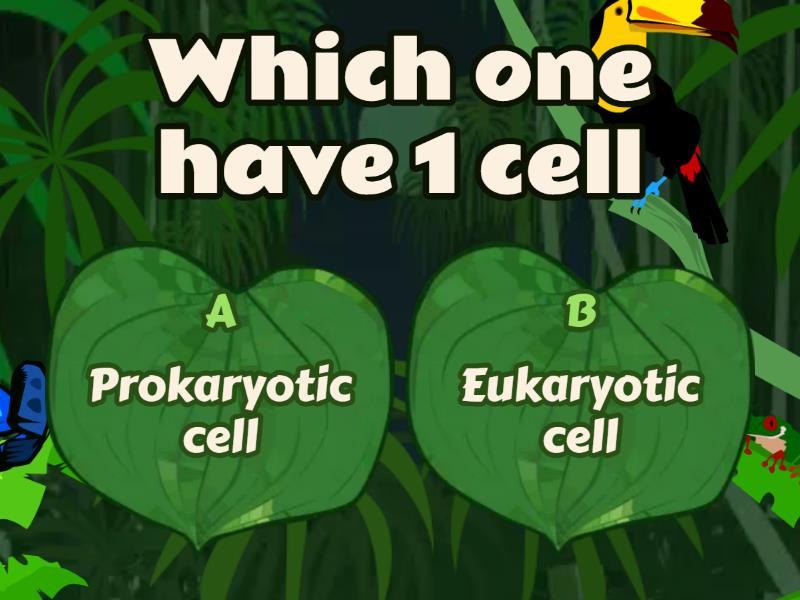 Prokaryotic cell vs eukaryotic cell - Quiz